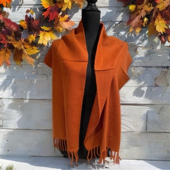 COUPON for 100% Cashmere Pashmina with Chyangra Logo 💝GET $30 OFF of 1 Scarf - Picture 5 of 9